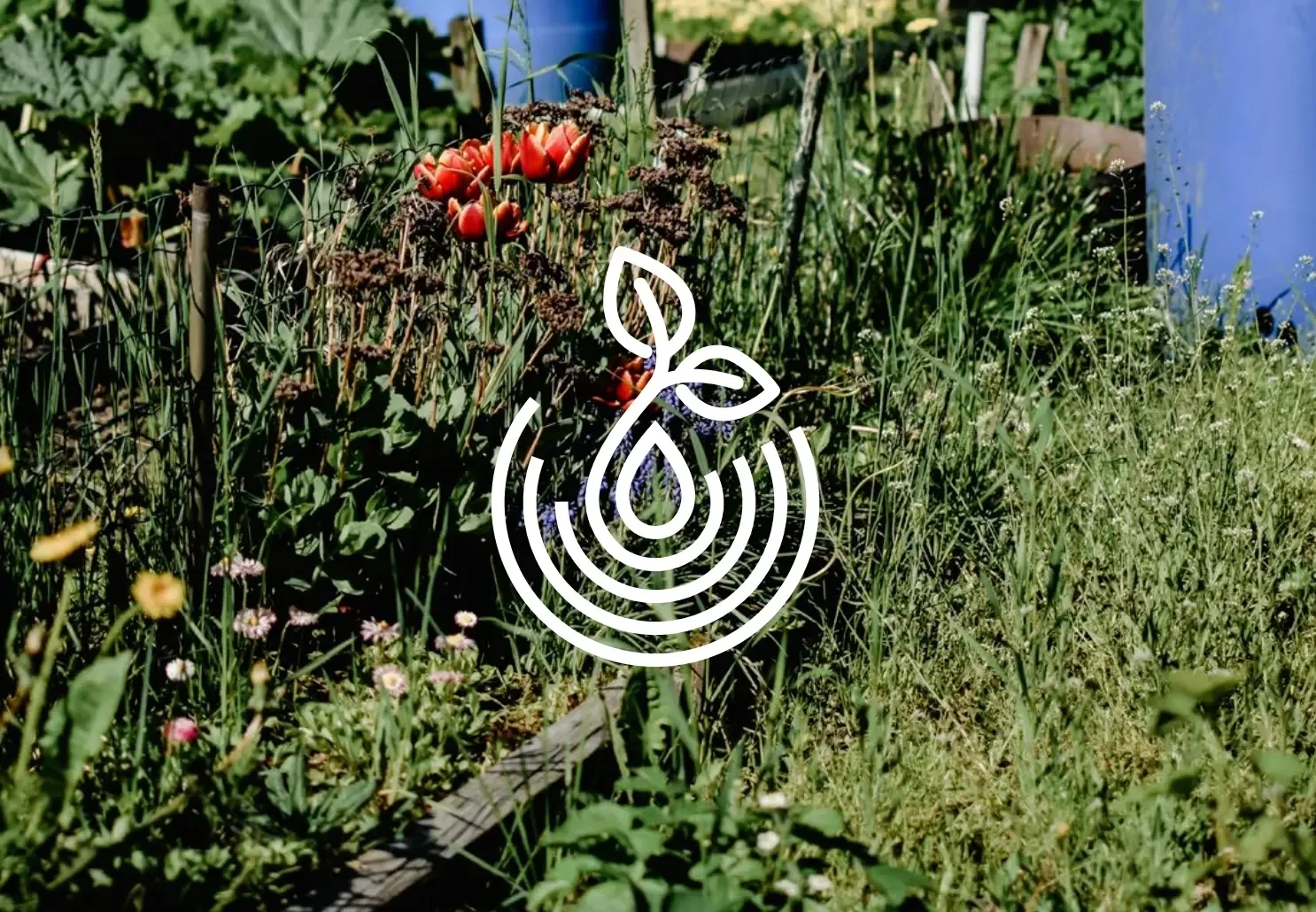 Lynn Community Impact sprout and ripple brandmark over a community garden