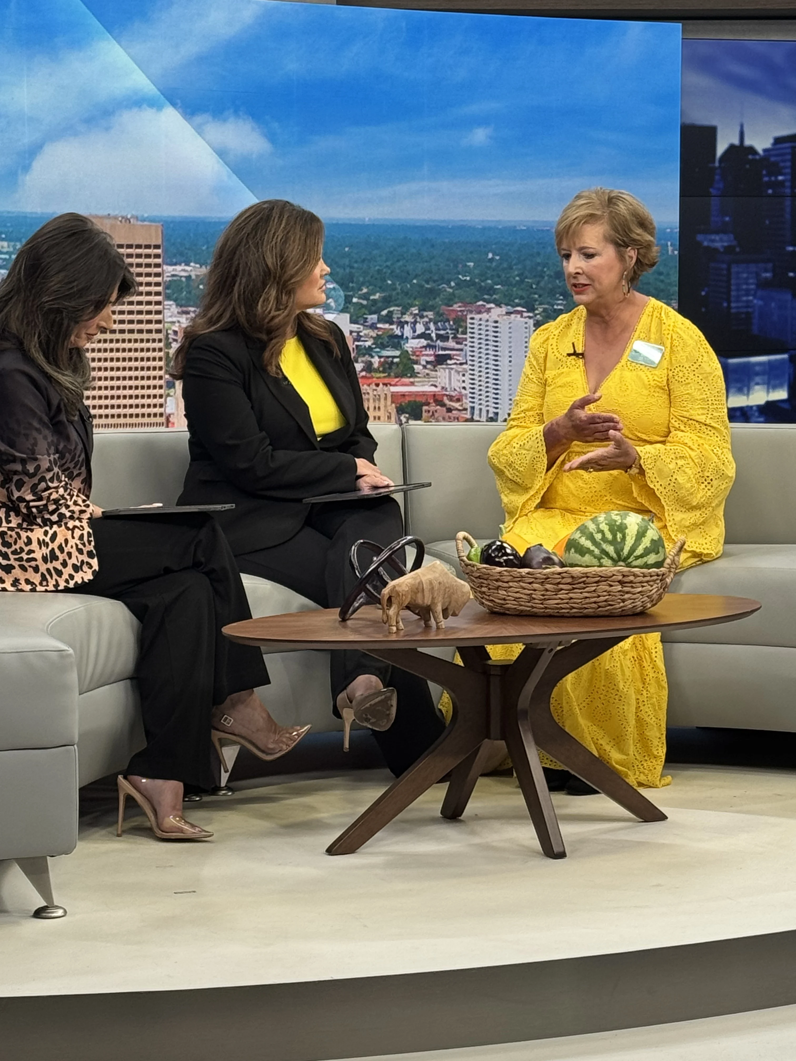 Lynn Community Impact representative discussing the organization’s work during a News 9 interview